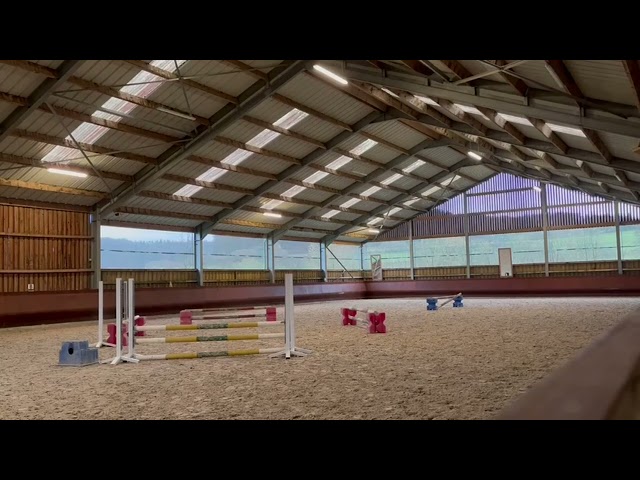 Poney superbe &agrave; vendre