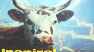 Inspiral Carpets - Commercial Reign [audio]