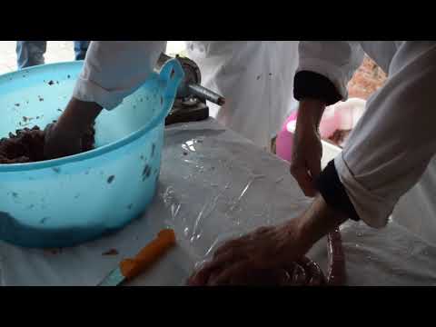 Koline na Cvenu 2019