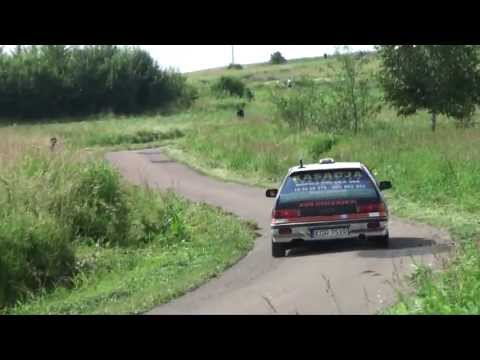 Hajduk Jarosław - Honda Civic - II Classicauto Rajd Magurski Biecz 29-06-2013