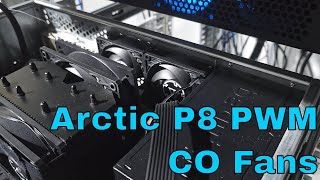 The Arctic P8 PWM PST CO Fans