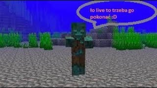 Miniaturka - Minecraft 1.13 Server #2 Rozwijamy domek i robimy most do somsiada - chama #Minecraft #Minecraft1.13