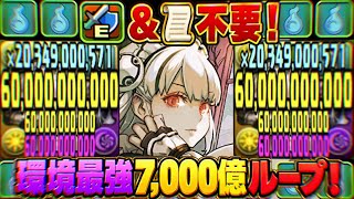 【新時代】アシスト不要！陰陽どこでも環境最強！メイドヴァルキリーがぶっ壊れすぎてヤバい【パズドラ】