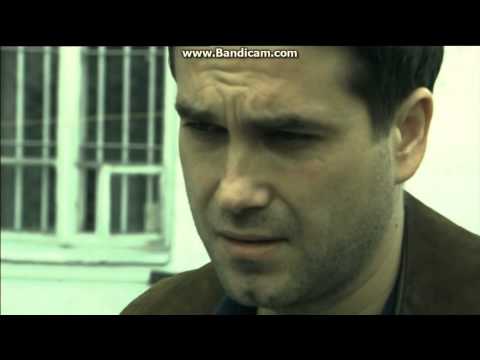 PitBull   Stare Babice