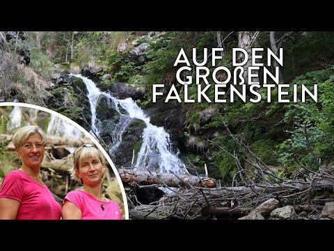 Wanderung auf den Großen Falkenstein ⛰️ - Touren-Tipp im Nationalpark Bayerischer Wald