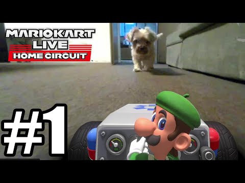 Mario Kart Live Home Circuit Gameplay Walkthrough Part 1