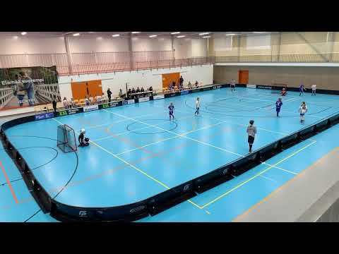 T12 Nibacos Sininen - Blue Fox 9.12.2023