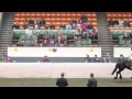 Klaas Fan Synaeda 2010 Octoberfest Friesian Open Pleasure Championship