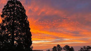 Grounding into the Virgo Energy