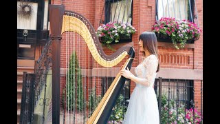 INUYASH OST BGM Sango& Miroku SAD MUSIC（Harp Cover）