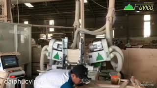 Máy đánh mộng dương 2 đầu CNC