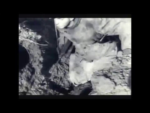 The German Gewehr '43