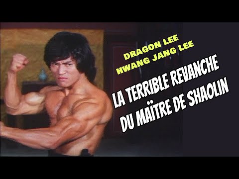 Wu Tang Collection - La Terrible Revanche du Maïtre de Shaolin - Martial Monks of Shaolin Temple