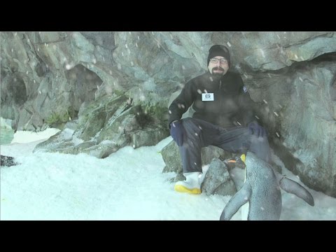 Ice Age Adventures - Making of