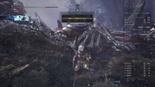 モンスターハンターワールド　クシャルダオラ討伐