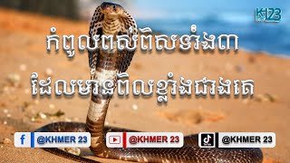 កំពូលពស់ពិសទាំំង៣ ដែលមានពិលខ្លាំងជាងគេក្នុងប្រវត្ដិសាស្រ្ដរបស់ ពស់