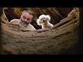 POV: You Challenged GM Ben Finegold with the Wrong Time Control On Sub Saturday