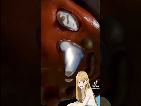 หมาทหารฟันหักจะรีบรักษาทันที