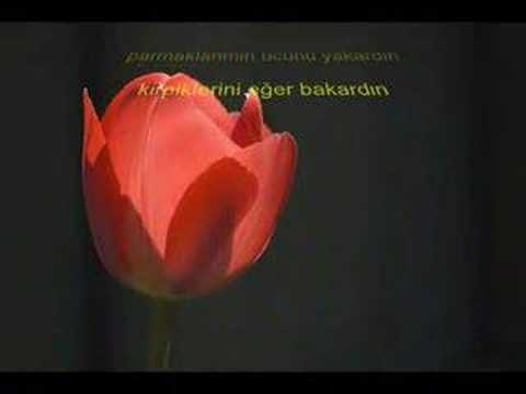 MEHMET ATAY - Üçüncü Şahsin Şiiri (Attila İlhan ın şiiri)