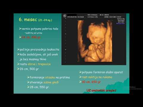 Njeno visočanstvo -beba po mesecima (nedeljama) trudnoće