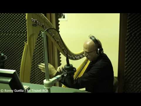 Vincenzo Zitello live a An Triskell RCB (06/04/2017) - Invisible