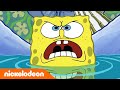 SpongeBob | Gerrit wil niet in bad! | Nickelodeon Nederlands