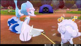 ポケモンHOME楽すうぃーーー！！！！【かる】