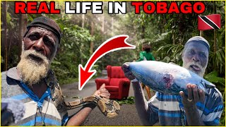UNBELIEVABLE !! Village Life In Tobago 🇹🇹 # Trinidad and Tobago