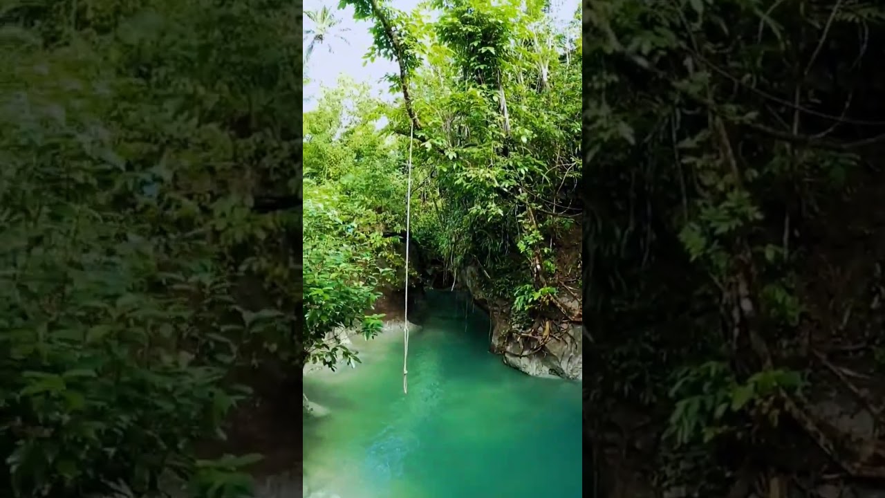 YouTube Short thumbnail