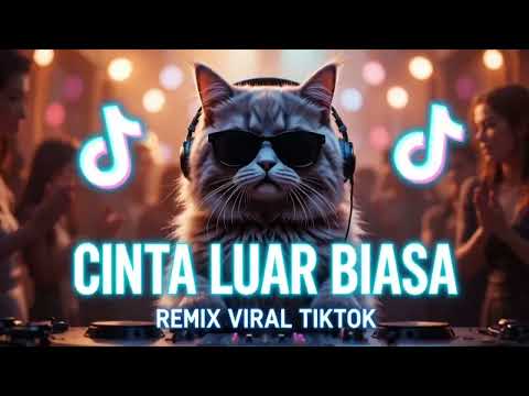 Zidan – Cinta Luar Biasa (Remix Version) | Cover Remix Viral TikTok