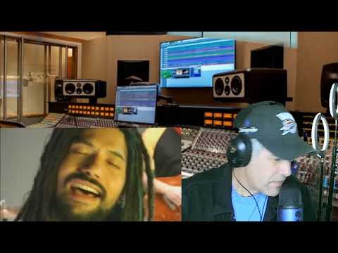 Gondwana--Felicidad---reaccion