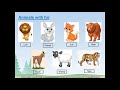 Grade 1 ENV Animals Near Our Home Part 1