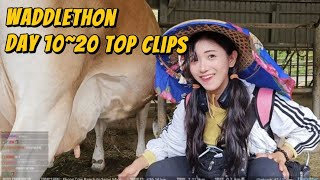 [問卦] 雷雨那麼大 企鵝妹還沒睡嗎？