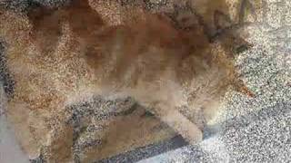 Michael Monroe - Smoke Screen