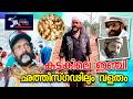 കുടകിലെ ഇഞ്ചി ഛത്തീസ്ഗഢിലും വളരും Lights