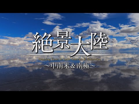 センセーショナルな発見:南極大陸はかつて熱帯雨林に似ていたと研究者が語る