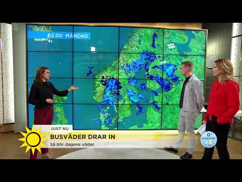 Busväder drar in: ”Kan ställa till det på vägarna” - Nyhetsmorgon (TV4)