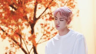 Jin FF 🦋❣️💘 Beast And The Chef Trailer �