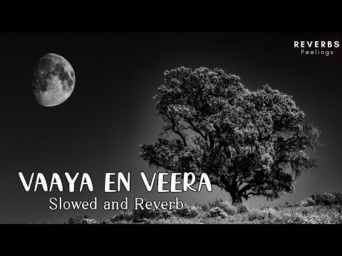 Vaaya En Veera | Slowed and Reverb | Raghava Lawrence | Taapsee | Shakthisree | Tamil Lofi