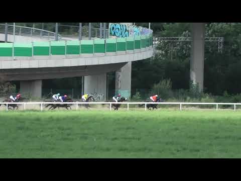 Trka "Neoplan" 14.07.2019 THUNDER CAT - Slaven Jovanović