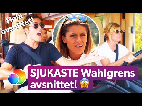 Throwback! HELA avsnittet med Wahlgrens kaotiska husbilssemester! | Wahlgrens värld | discovery+