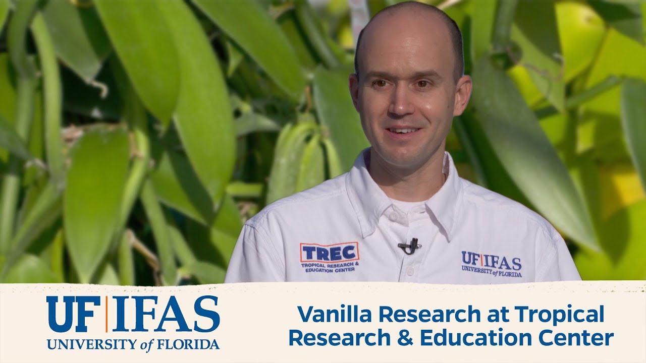 UF/IFAS Vanilla Research