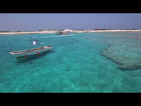okinawa-nagannu.island/2018/05/02