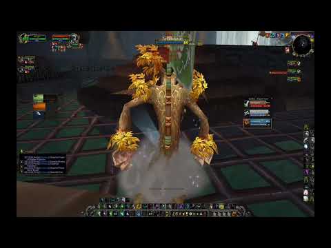 INSANE Burst & Control! Ele Shaman + MM Hunter + Resto Druid – WotLK Arena 🔥