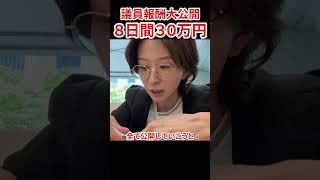 議員の給与明細を公開　#さとうさおり #減税党 #やちよの会 #千代田区 #参院選 #衆院選