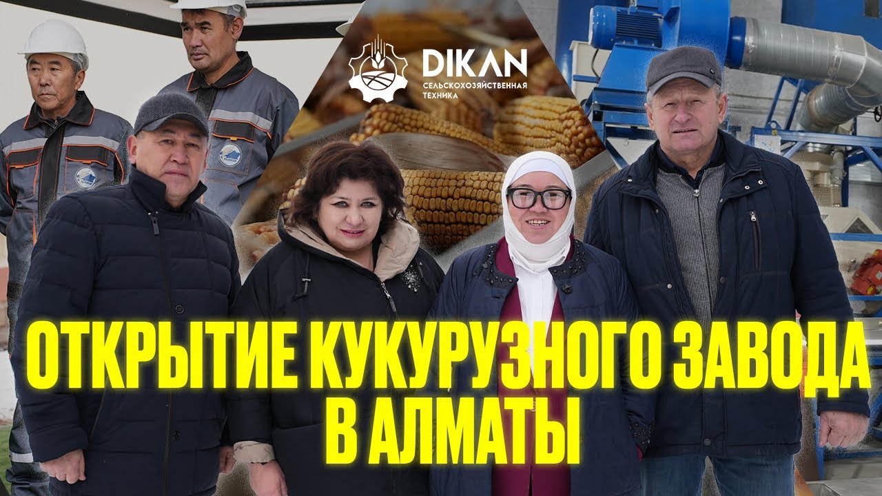 Видео DIKAN #1