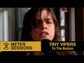 Tiny Vipers - To The Bottom (live on 2 Meter Sessions, 2007)