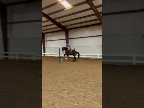 Count the strides!! First person to guess correctly gets a pin🫶