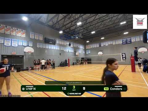 U16F N @ Condors (2026.01.17)