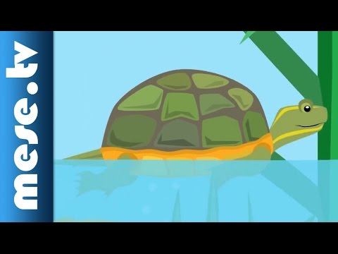 Gryllus Vilmos: A teknősbéka (gyerekdal, mese, Félnóta sorozat) | MESE TV
